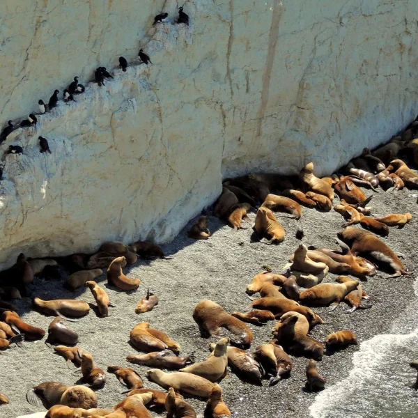 Escursion-Punta-Loma--City-Tour_193 (3) (1)