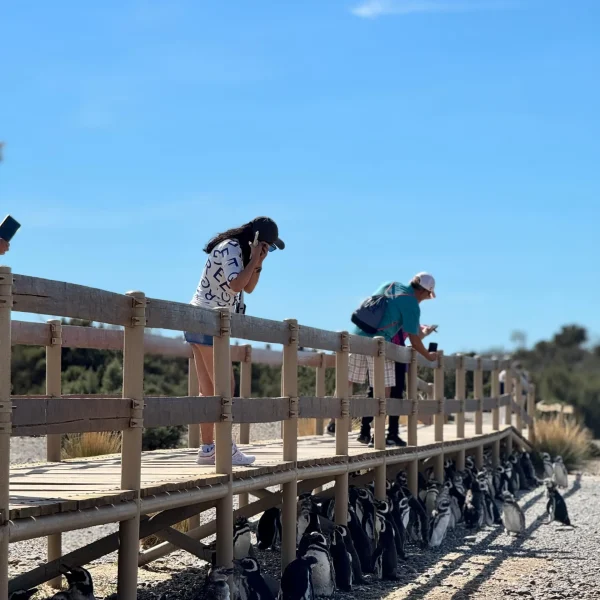 WhatsApp Image 2025-12-15 at 5.28.32 PM