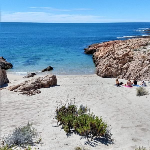 bustamante3